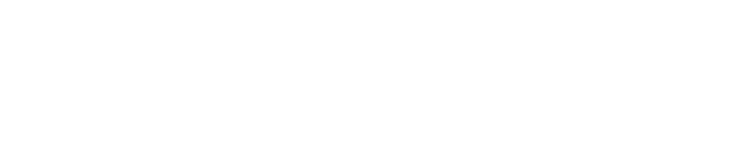 Synetic Logo